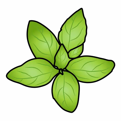 Albahaca, hierba aromática