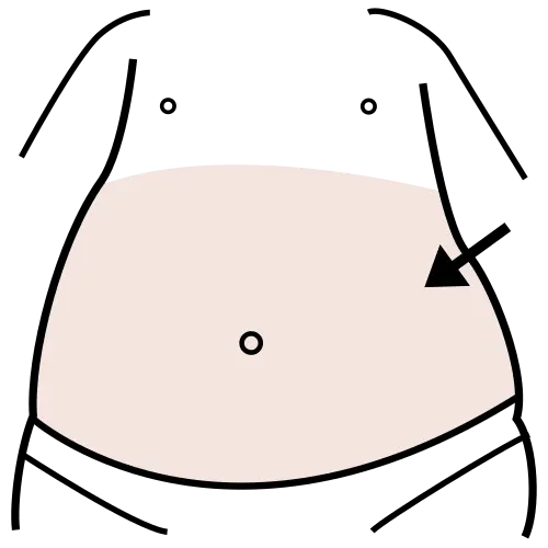 Barriga, abdomen