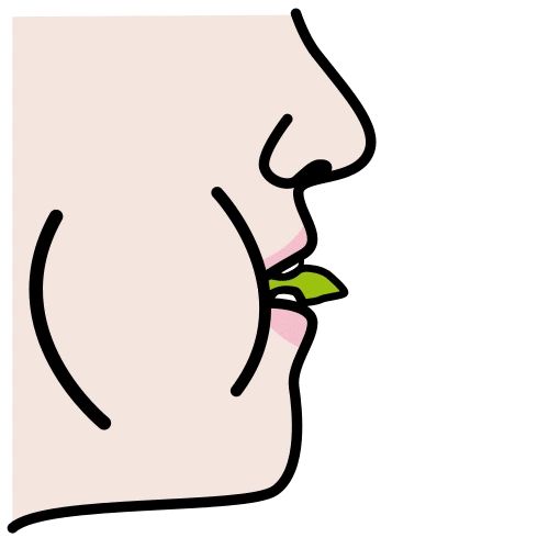 Pictograma: boca llena