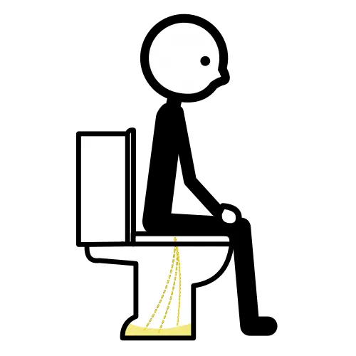 Orinar, evacuar vejiga