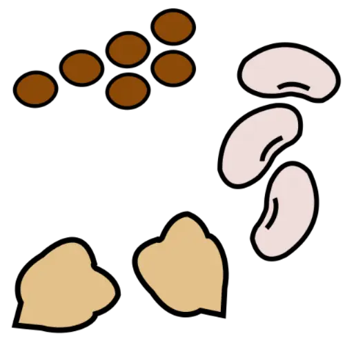 Legumbres, proteína vegetal