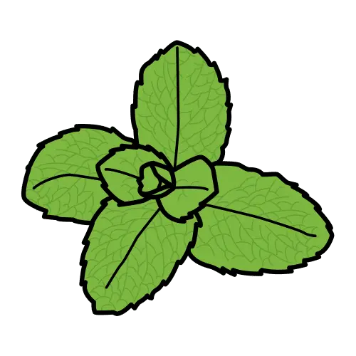 Menta, hierba refrescante