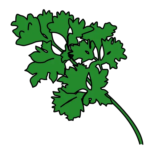 Perejil, hierba verde