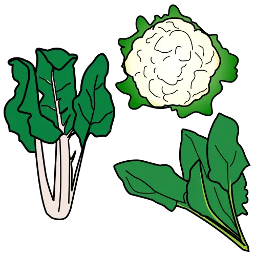 Verduras, hortalizas